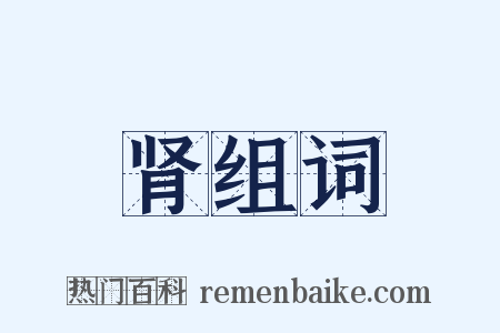 肾组词是什么意思的图片